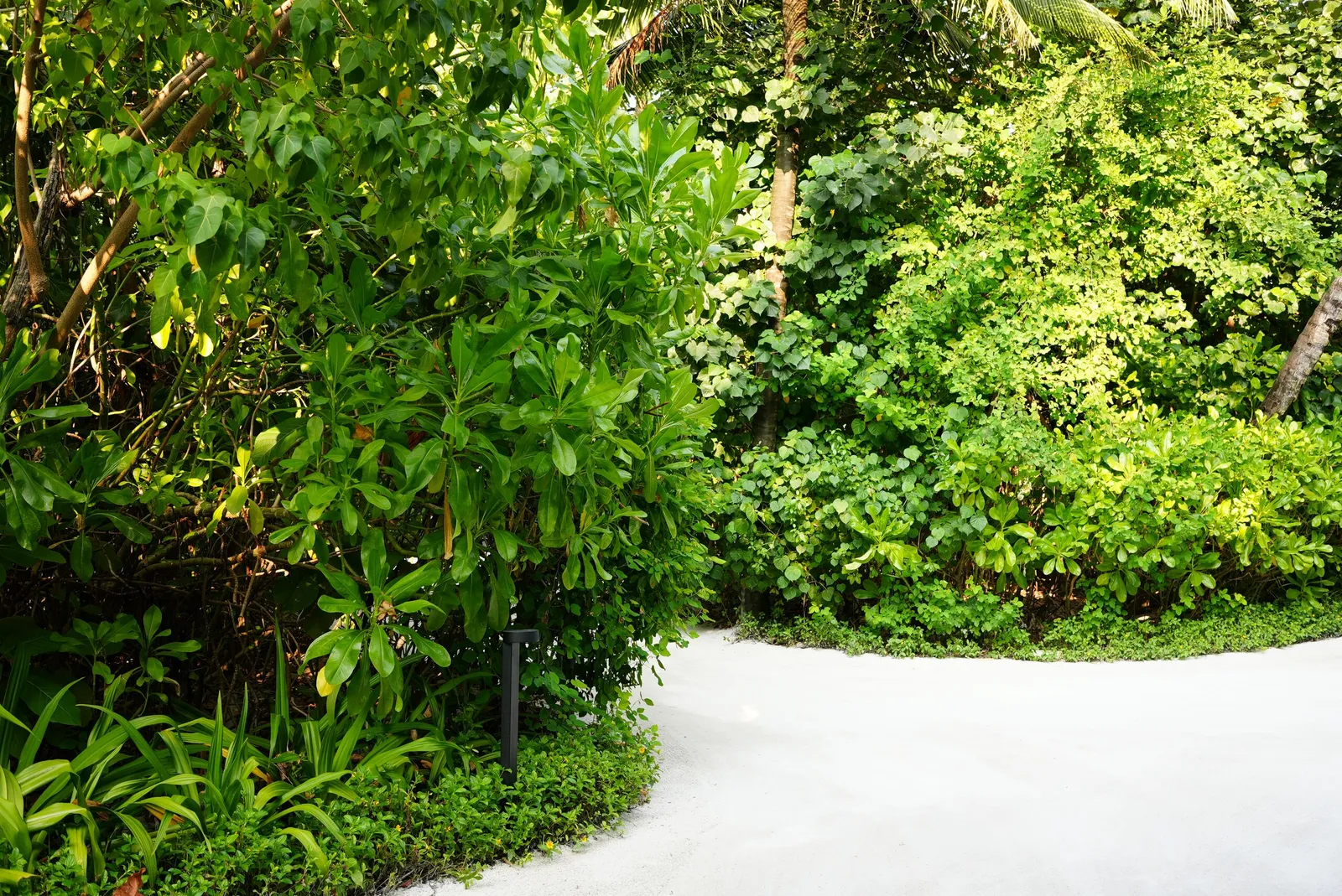 Fari Island