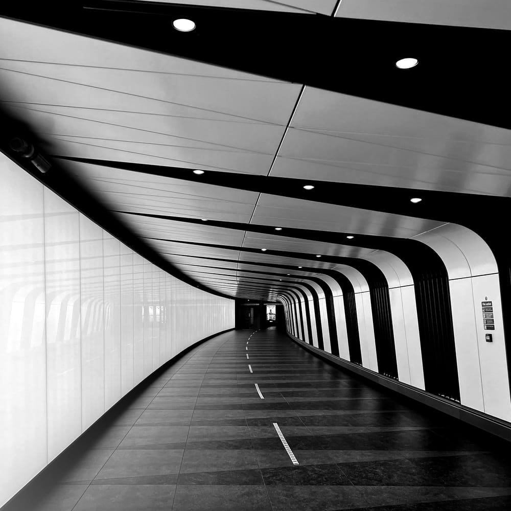 Staying Open to Opportunity post feature image
